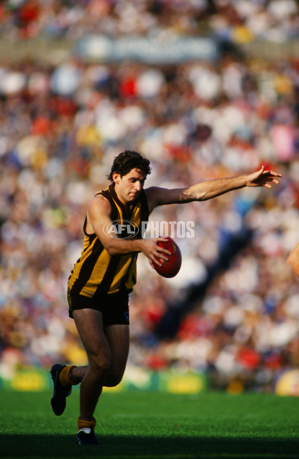 AFL 1992 Round 6 - Collingwood v Hawthorn - 23143