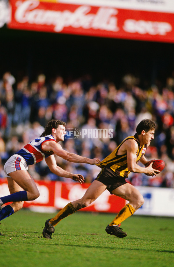 AFL 1991 - Hawthorn v Footscray - 23229