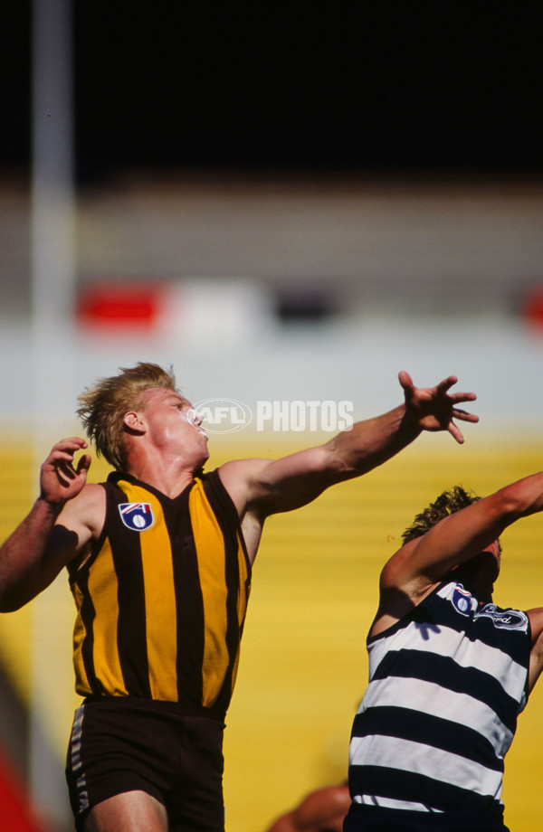 AFL 1995 - Hawthorn v Geelong - 23154