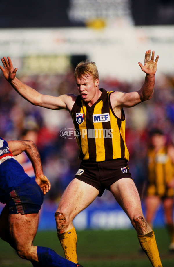 AFL 1995 Round 17 - Footscray v Hawthorn - 23149