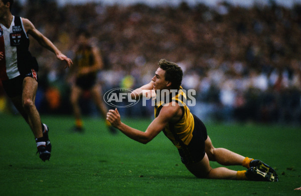 AFL 1991 - Hawthorn v St Kilda - 23275
