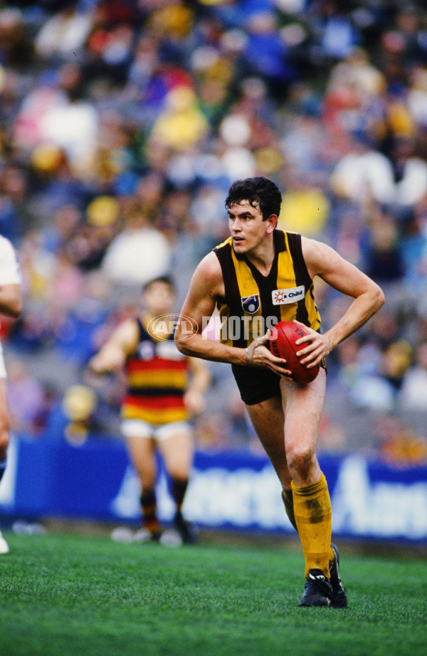 AFL 1993 Round 21 - Hawthorn v Adelaide - 23280