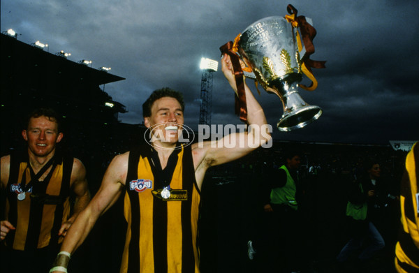 AFL 1991 Grand Final - Hawthorn v West Coast - 23282