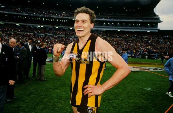 AFL 1991 Grand Final - Hawthorn v West Coast - 23283
