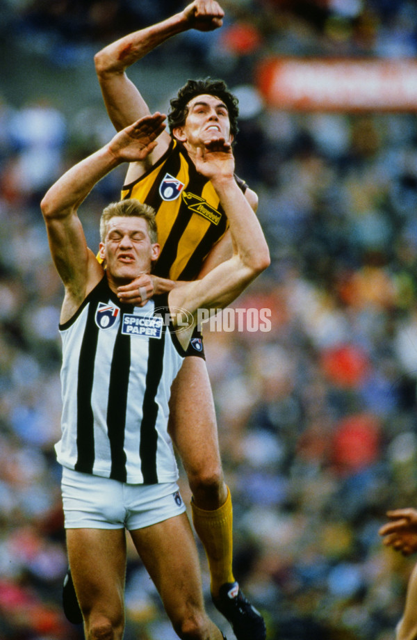 AFL 1992 Round 21 - Hawthorn v Collingwood - 23289