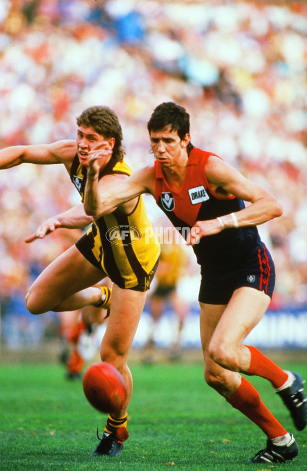 VFL 1980's - Hawthorn v Melbourne - 23338