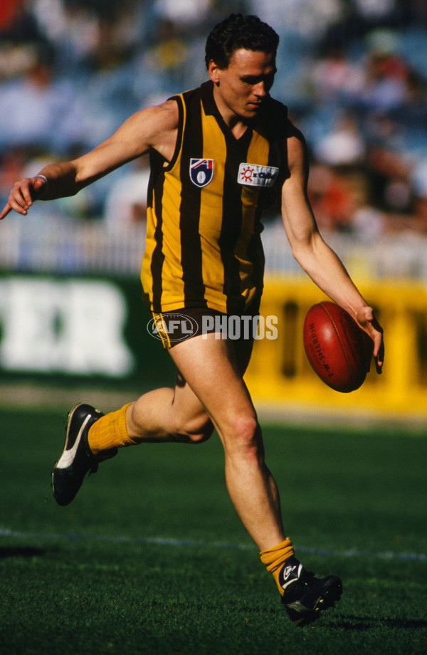 AFL 1993 Round 16 - Melbourne v Hawthorn - 23284