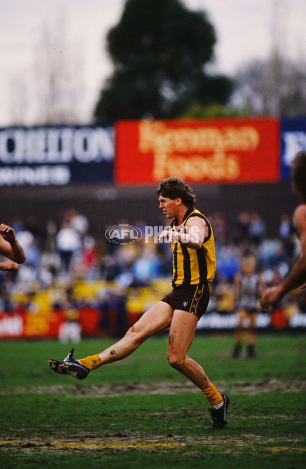 VFL 1980's - Hawthorn Hawks - 23254