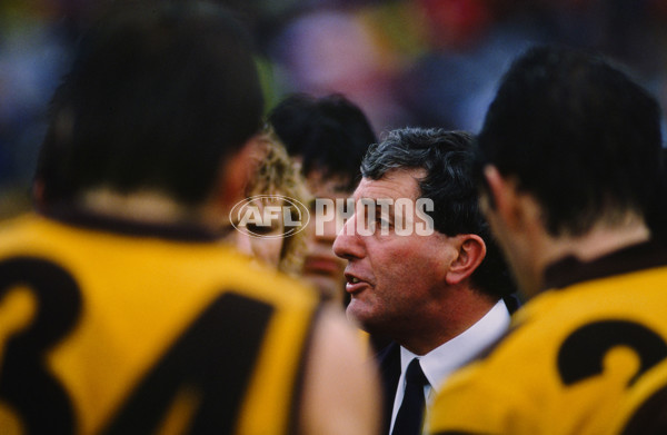 VFL 1988 - Hawthorn Hawks - 23253