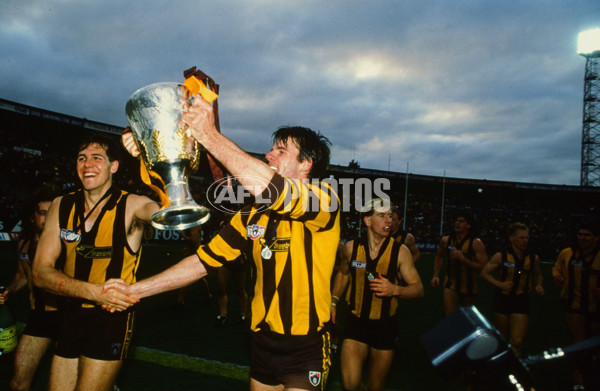 AFL 1991 Grand Final - Hawthorn v West Coast - 23400