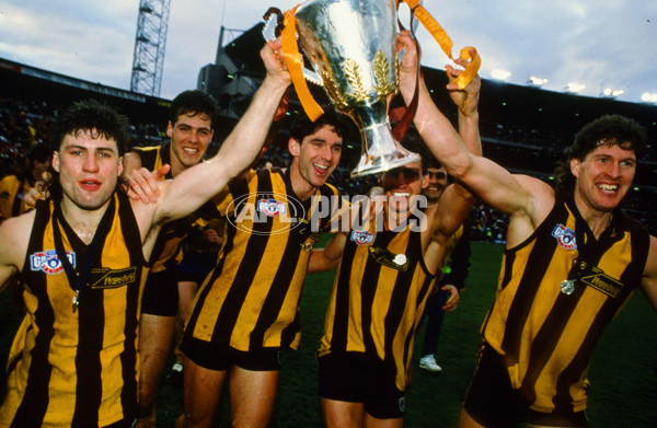 AFL 1991 Grand Final - Hawthorn v West Coast - 23469