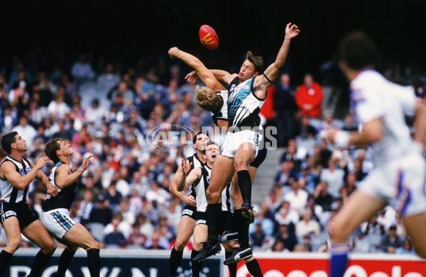 AFL 1997 Round 1 - Collingwood v Port Adelaide - 24135