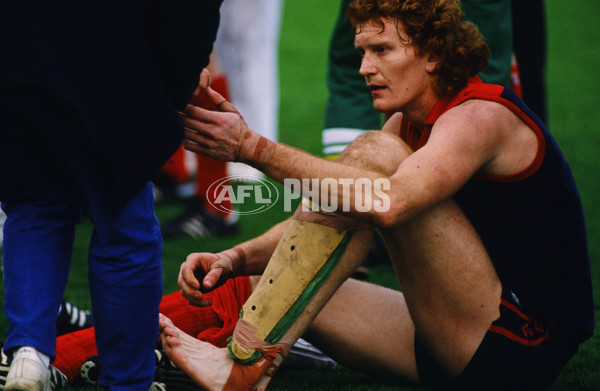 VFL 1989 - Melbourne Demons - 26013