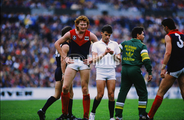 VFL 1985 - Melbourne v Carlton - 26022