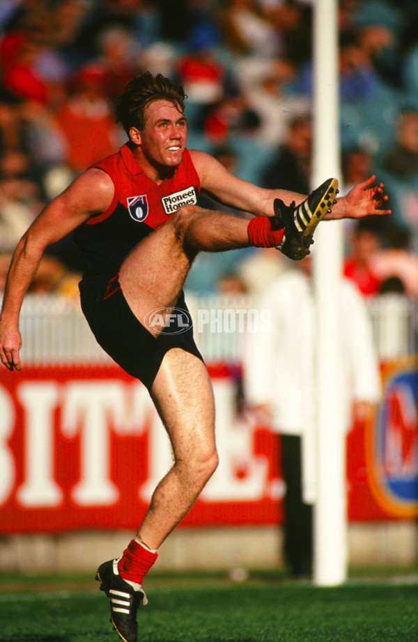 AFL 1993 Round 9 - Melbourne v West Coast - 26195