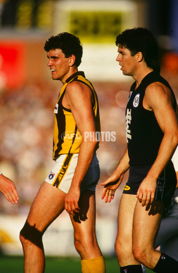 AFL 1993 Round 3 - Carlton v Hawthorn - 26459