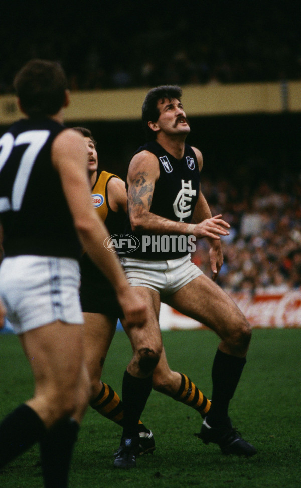VFL 1980's - Carlton Blues - 26617