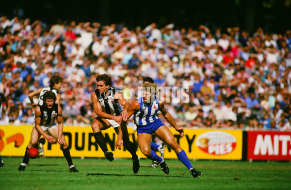 VFL 1986 - Collingwood v North Melbourne - 27987