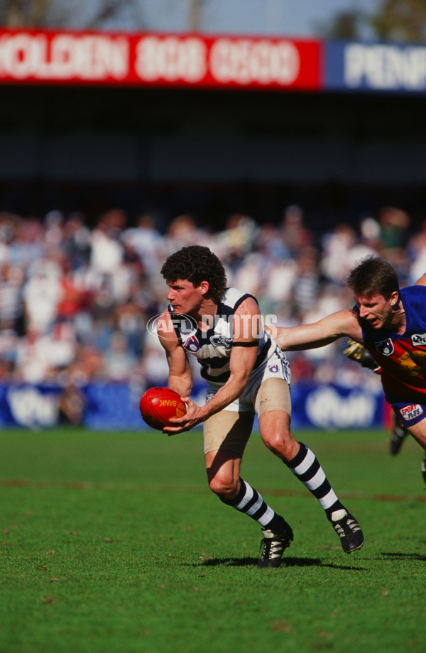 AFL 1995 Round 20 - Geelong v Fitzroy - 29161