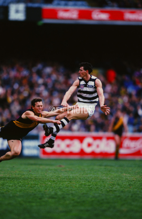 AFL 1996 Round 20 - Richmond v Geelong - 29234