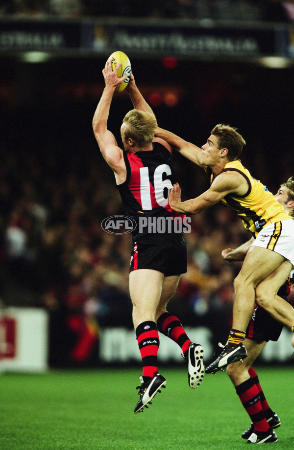 AFL 2001 Rd 9 - Essendon v Hawthorn - 29653