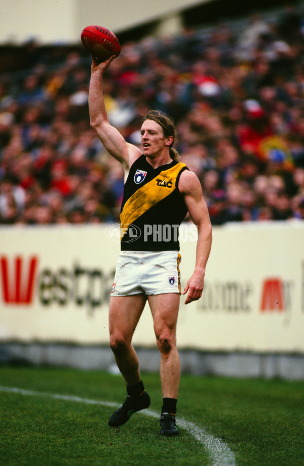 AFL 1995 Round 13 - Melbourne v Richmond - 30118
