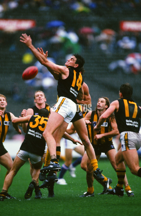 AFL 1995 Round 3 - Hawthorn v Richmond - 30159