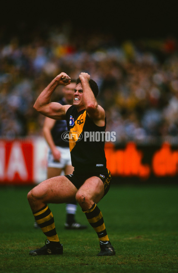 AFL 1998 Round 17 - Richmond v Geelong - 30174