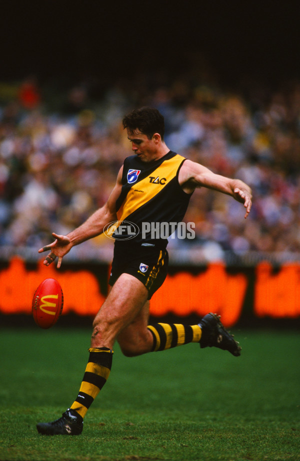 AFL 1998 Round 17 - Richmond v Geelong - 30183