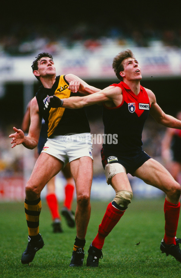 AFL 1995 Round 13 - Melbourne v Richmond - 30160