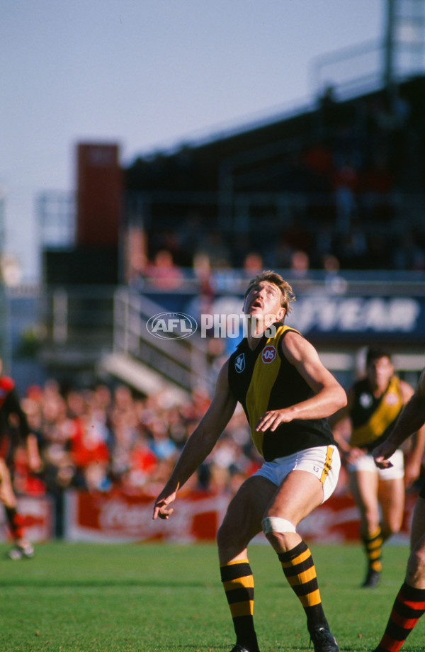 VFL 1989 - Richmond Tigers - 30234