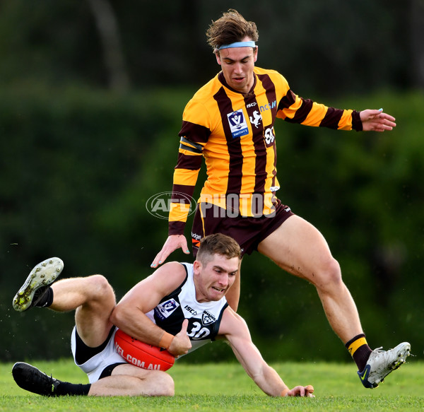 VFL 2023 Round 09 - Box Hill v Southport - A-38234742