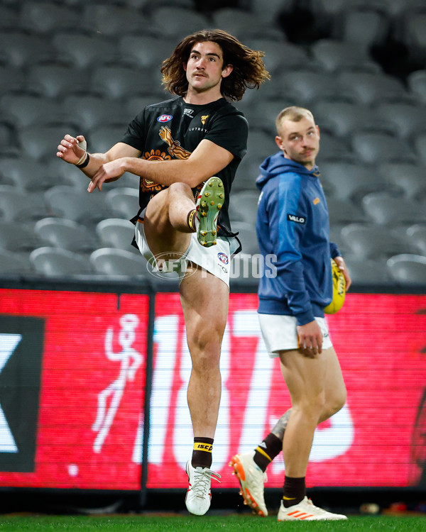 AFL 2023 Round 11 - St Kilda v Hawthorn - A-39011538