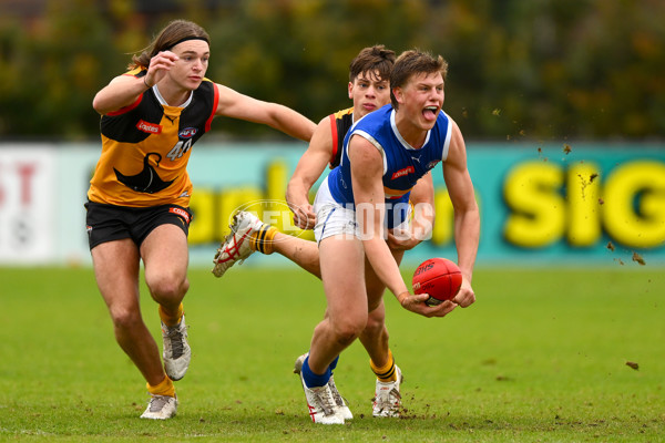 Coates Talent League Boys 2023 - Dandenong v Eastern Ranges - A-39304134