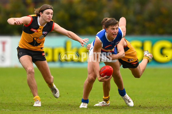 Coates Talent League Boys 2023 - Dandenong v Eastern Ranges - A-39304141