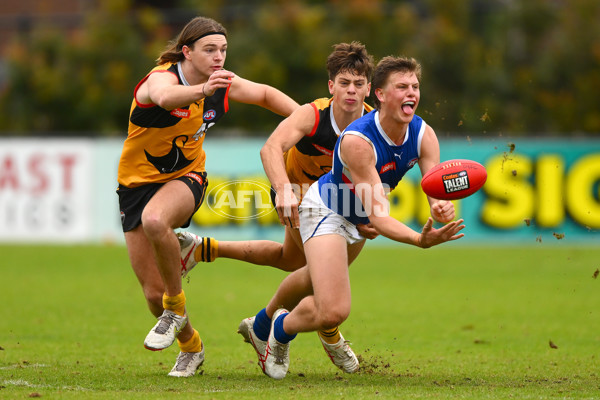 Coates Talent League Boys 2023 - Dandenong v Eastern Ranges - A-39304934