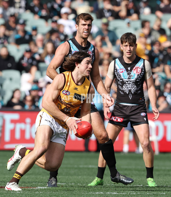 AFL 2023 Round 12 - Port Adelaide v Hawthorn - A-39567886