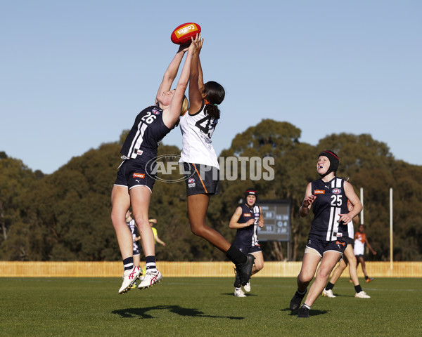 Coates Talent League Girls 2023 - Geelong v Northern Territory - A-39623994