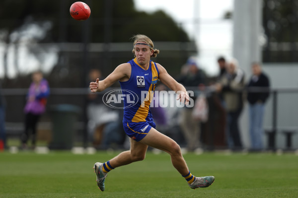 VFL 2023 Round 12 - Williamstown v Northern Bullants - A-39761299
