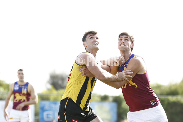 VFL 2023 Round 14 - Sandringham v Brisbane - A-40281898