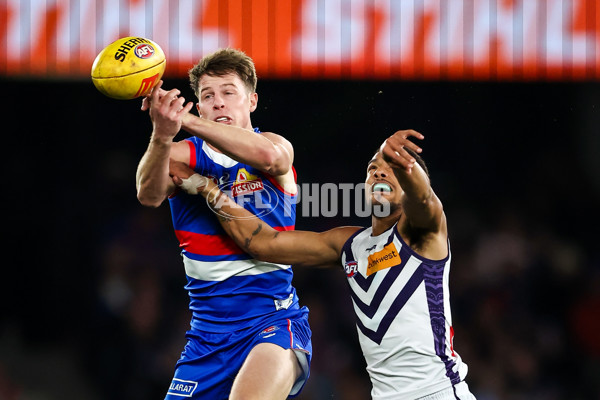AFL 2023 Round 16 - Western Bulldogs v Fremantle - A-40487906