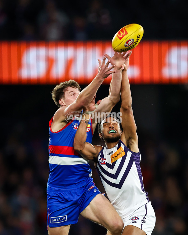 AFL 2023 Round 16 - Western Bulldogs v Fremantle - A-40487990