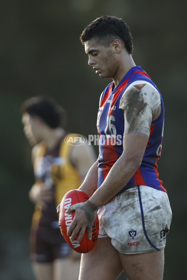 VFL 2023 Round 15 - Box Hill v Port Melbourne - A-40495719