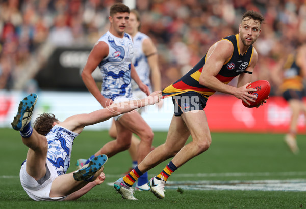 AFL 2023 Round 16 - Adelaide v North Melbourne - A-40500790