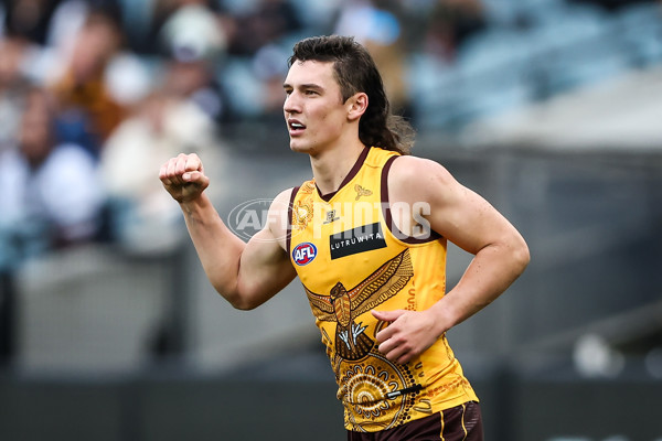 AFL 2023 Round 16 - Hawthorn v Carlton - A-40529171