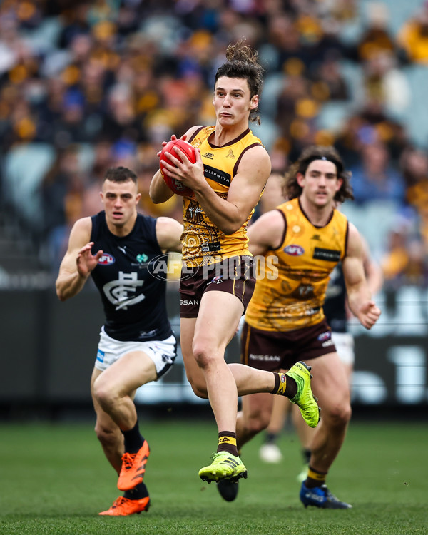 AFL 2023 Round 16 - Hawthorn v Carlton - A-40529172