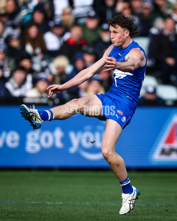 AFL 2023 Round 17 - Geelong v North Melbourne - A-40652291
