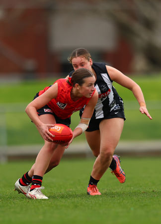 VFLWSFCoEs23GD040933580.jpg
