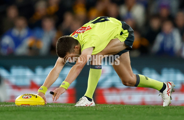 AFL 2023 Round 18 - North Melbourne v Hawthorn - A-41002726