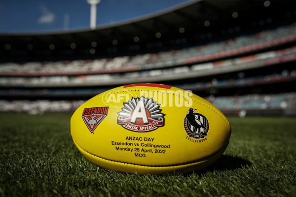 AFL 2022 Round 06 - Essendon v Collingwood - 939897